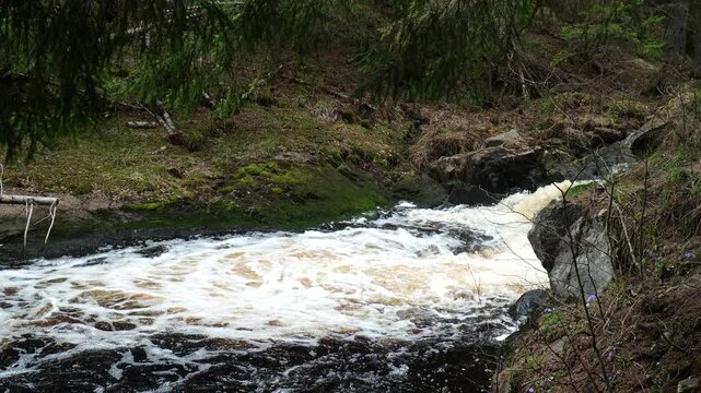 The course of the Ihalanjoki forest river in Karelia