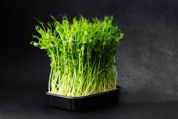 Pea shoots in black plastic tray on dark background