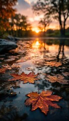Fototapeta premium Autumn Sunset Maple Leaves on Calm Stream.