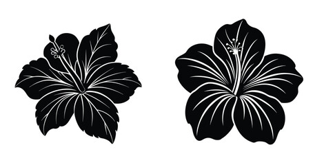 Obraz premium Black and white floral vector illustration with a delicate vintage blossom pattern and leaf design for nature's beauty