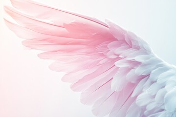Delicate angel wing in soft pastel colors