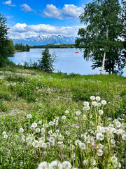 Lake in Wasilla, Alaska