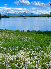 Lake in Wasilla, Alaska