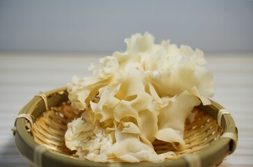 淡い白色の花びら茸