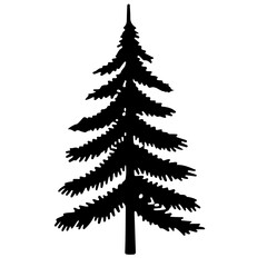 A black silhouette illustration of a coniferous tree.