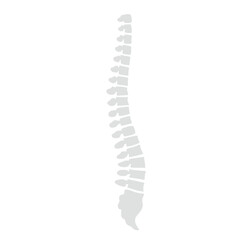 Spinal fracture vector illustration