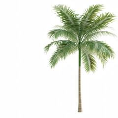 A tall, green palm tree with lush leaves swaying in the gentle breeze.