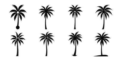 coconut tree bundle collection