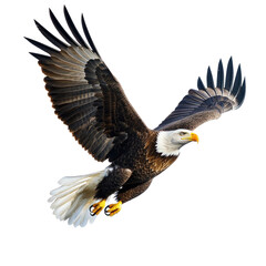 Fototapeta premium Majestic Bald Eagle In Mid Flight isolated on a transparent background