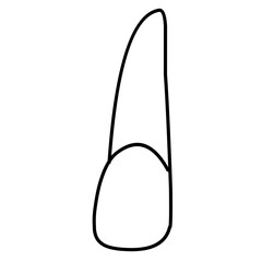 icon vector teeth chart