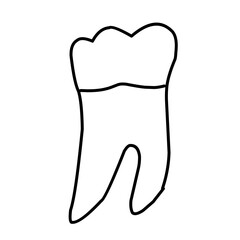 icon vector teeth chart