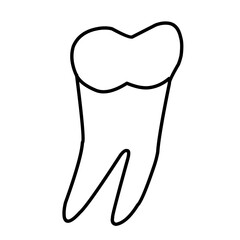 icon vector teeth chart