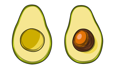Set of colored avocado slices with pit isolated on white background. Tropical summer fruit vector hand drawn illustration. Detailed food drawing for label, poster, print.