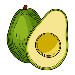 Composition of colored avocado slice isolated on white background. Tropical summer fruit vector hand drawn illustration. Detailed food drawing for label, poster, print.