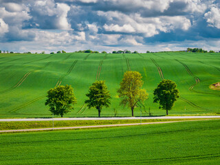 Aerial landscape of the green fields in northern Poland at spring time.