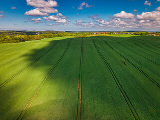 Aerial landscape of the green fields in northern Poland at spring time.