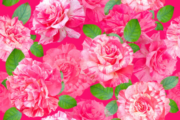 Vintage Floral seamless pattern. Summer Flower illustration. Amazing roses in Full Bloom. Luxurious garden flowers on vibrant pink background. For textiles, wallpaper, wrapping paper