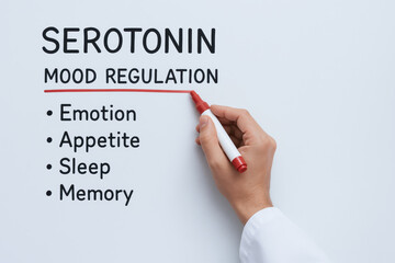 Serotonin is highlighted as key for mood regulation, impacting emotion, appetite, sleep, and memory, on a whiteboard with a hand holding a red marker.