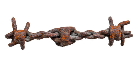 Rusty barbed wire section, showing age and decay