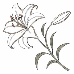 Floral Vector Design with Leaves, Swirls, and Butterfly – Black Ornamental Silhouette Illustration