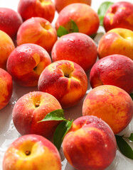 Fresh peaches in water. Organic fruit. Natural and tasty farm product. Delicious and sweet.