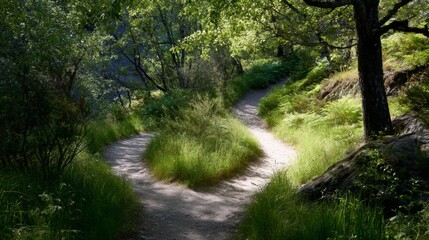 Fototapeta premium A forked path in nature, symbolizing life's choices and possibilities 