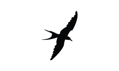 Flying Aleutian tern bird Silhouette Design  And Vector Illustration. 