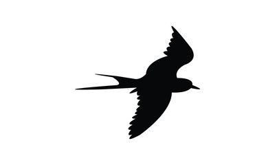 Flying Aleutian tern bird Silhouette Design  And Vector Illustration. 