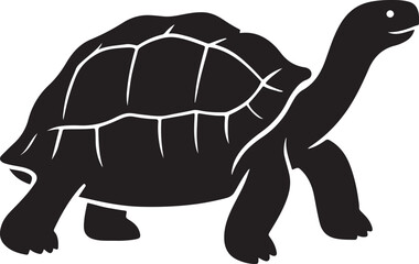 galapagos tortoise vector