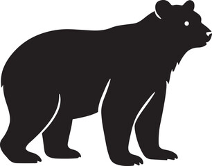 spectacled bear