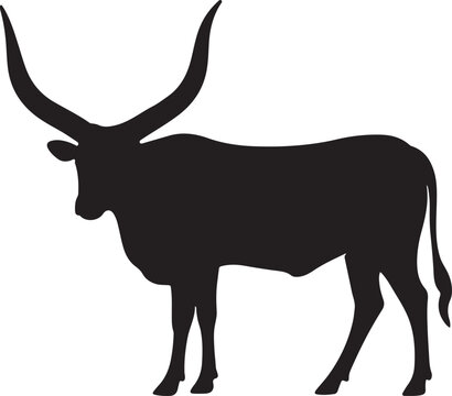 a ankole watusi vector