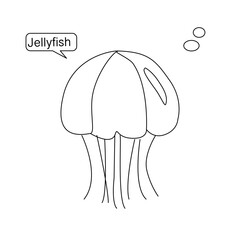 illustration of jellyfish. vector illustration of a jellyfish. Vector illustration of cartoon jellyfish. Cute jellyfish line art illustration. Illustration of jellyfish. Jellyfish in the sea.