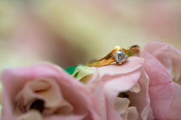 Gold ring , Wedding ring,Diamond ring on the flowers.