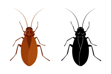 Cockroach insect and its silhouette isolated on white background