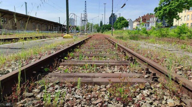 Plants growing on old railway tracks. Static shot in urban area in Germany.