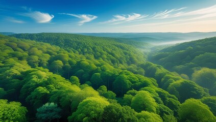 Lush green forest and hill landscape under a bright sky offering natural beauty