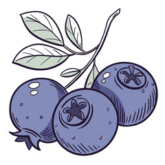 Blueberry icon vector art on white background. blueberry icon and logo. Adobe Illustrator Artwork