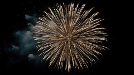 Golden firework eruption against a jet black night sky canvas