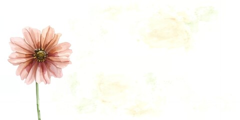 Delicate Watercolor Pink Flower Blossom on White Background Floral Design Element