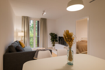 Living room with gray sofa, TV unit, plant, floor lamp and window with curtains in a bright...