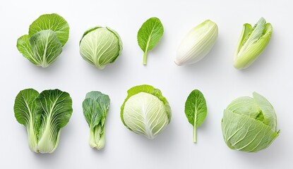 Fresh Assortment of Green Vegetables on White Backdrop for Culinary Arts and Healthy Eating Design