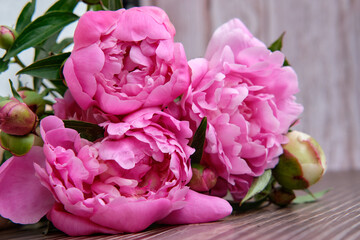 The peony is wrapped on a gray background