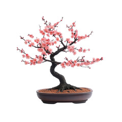Blooming Pink Plum Blossom Bonsai Tree in Brown Pot