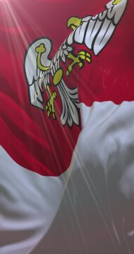 Flag of Greater Poland Voivodeship, Poland. Loop. 4K Vertical