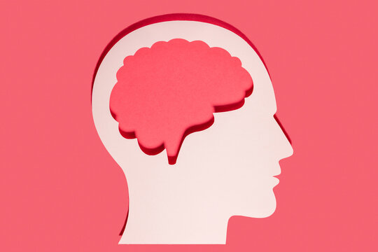 Close-up of white human head and brain made with paper on red background