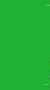 VHS Noise and Defects on a green background
