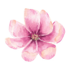 Delicate Pink Watercolor Flower Blossom Floral Design Element Botanical Illustration