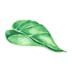 Vibrant Green Watercolor Leaf Botanical Illustration Nature Isolated Plant Foliage