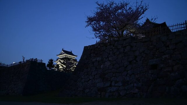春の福山城の夜景  （広島県福山市, 2025年4月）