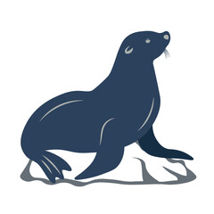 Cute Seal Vector Illustration – Isolated Marine Animal Clipart